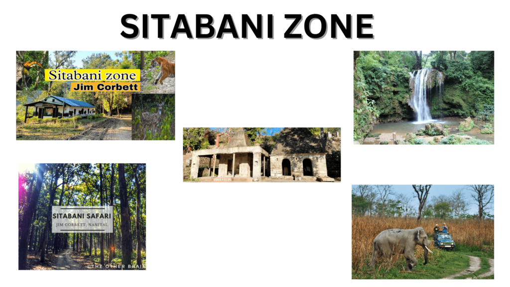 Safari Zones in Jim Corbett National Park